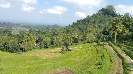 imgi_22_AC9h4no0nX-DUmvzFbNZZhN9aX1yLT0qlpEZSSdVcCzz2H-tAJ07GzReTuIL5RLtsdGqO_N-b8mt0S_9xZUOTirn57RDYA7ag4h15B-OjFjuAbLAGoB8yMaGY7vkcak0EmhUUrPXG6EQ=s516-k-no