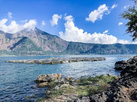 imgi_35_AC9h4nrchRIhKXhyF42VPKf0KsjQpOrjx4MjkWSPMDEExXroam4RtvFTwwRDz6fzW1RL4g_7BuYNkzUszUu-WCdB6y5rWH1L0jR-pnMtlaqStTMA4sU3UFShltjZ3fsKQkleU-z92pHx=s451-k-no