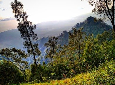 imgi_39_AC9h4npgekn-KEk-urmEMiB2tX-gO_qzqLkm07YR8UEy_yMiC5XRiki8np9IJXuZ4ID9fJWB_SZ1v93bie1pnp9H6rfhEJht6lqG2IweuFafsl1Gu5M2TEOIIMCKRgfVMXkEkgvJRhTPWA=s391-k-no