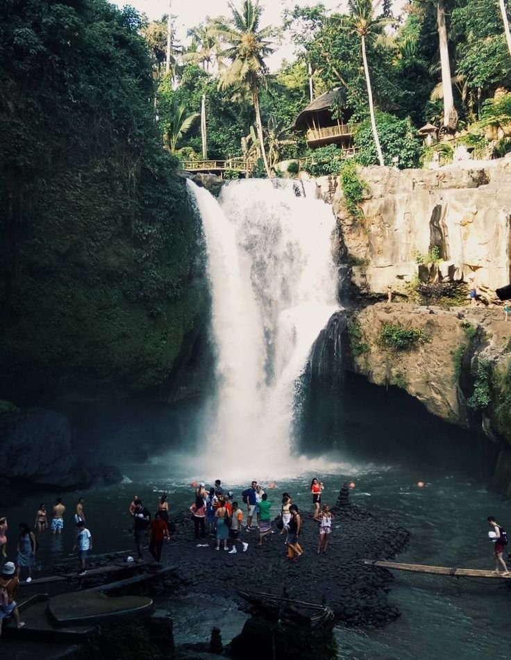 WhatsApp Image 2026-02-10 at 20.39.19